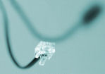 Data & Voice Networking
