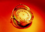 On site Consultancy and Project Management